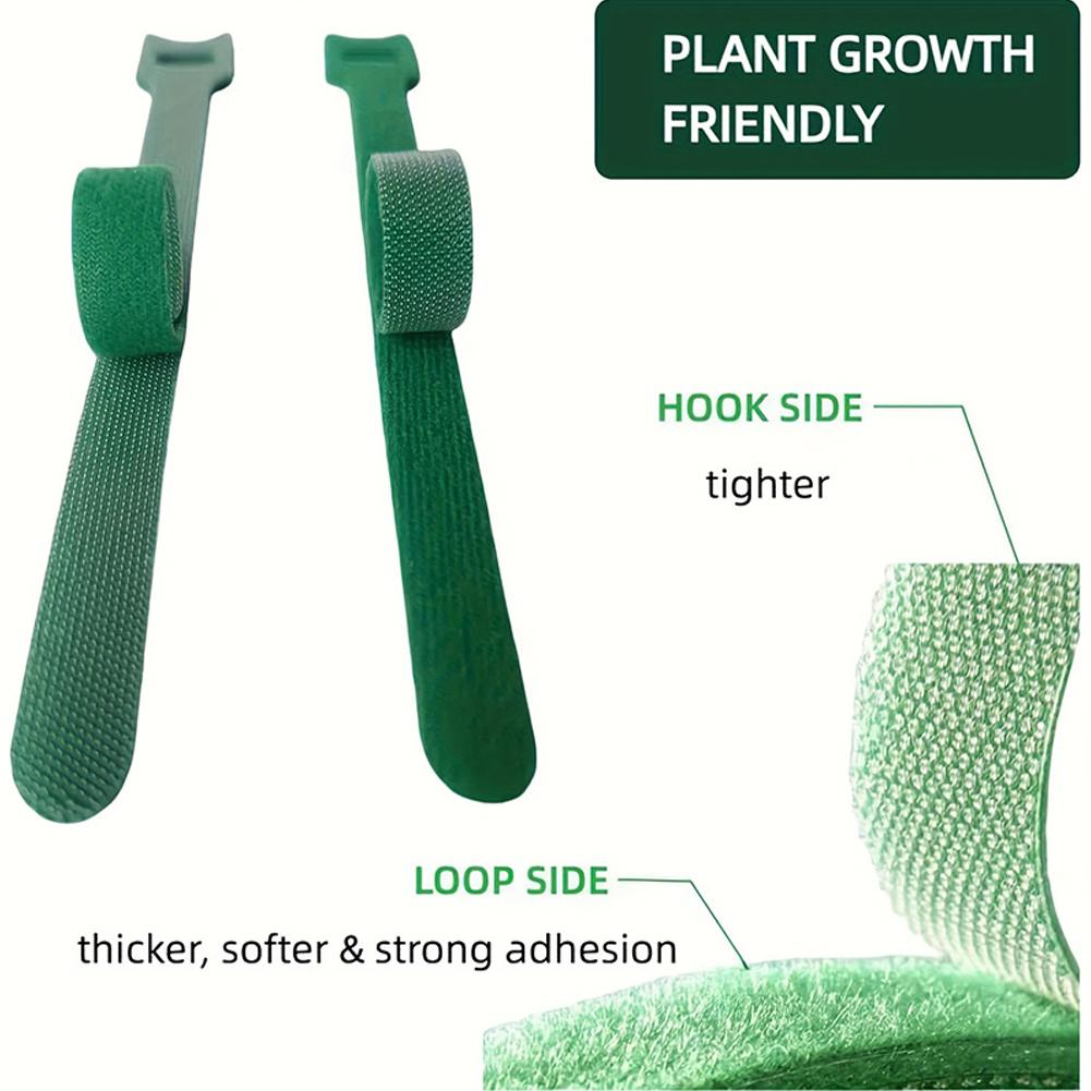 สายรัดต้นไม้แบบปรับได้ 100 ชิ้ - Velcro Hook Loop บทวิจารณ์และราคา
